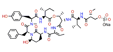 Symplostatin 8